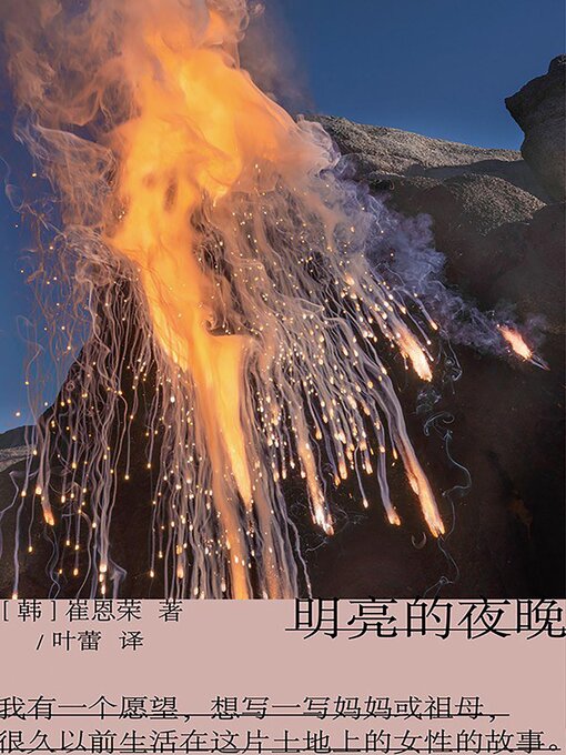 Title details for 明亮的夜晚 by [韩]崔恩荣 - Available